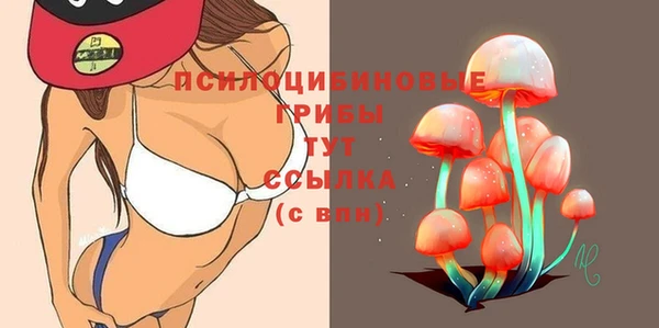 скорость Абаза